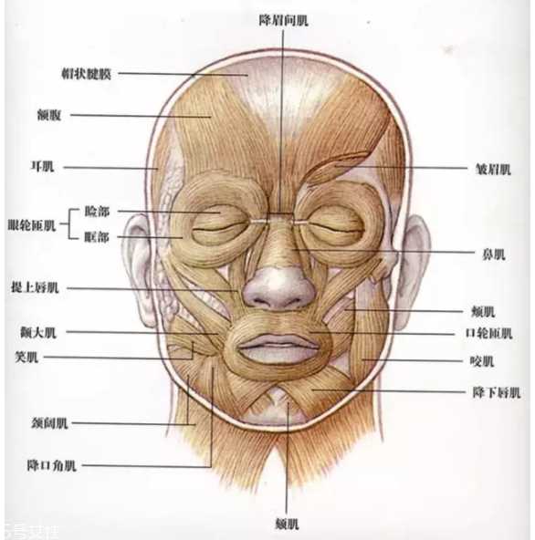 法令纹怎么去除？最有效的方法是医美