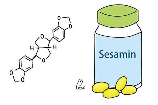 芝麻素是什么 芝麻素有助睡眠功效