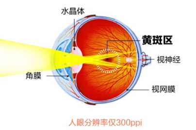 叶黄素和钙片可以一起吃吗