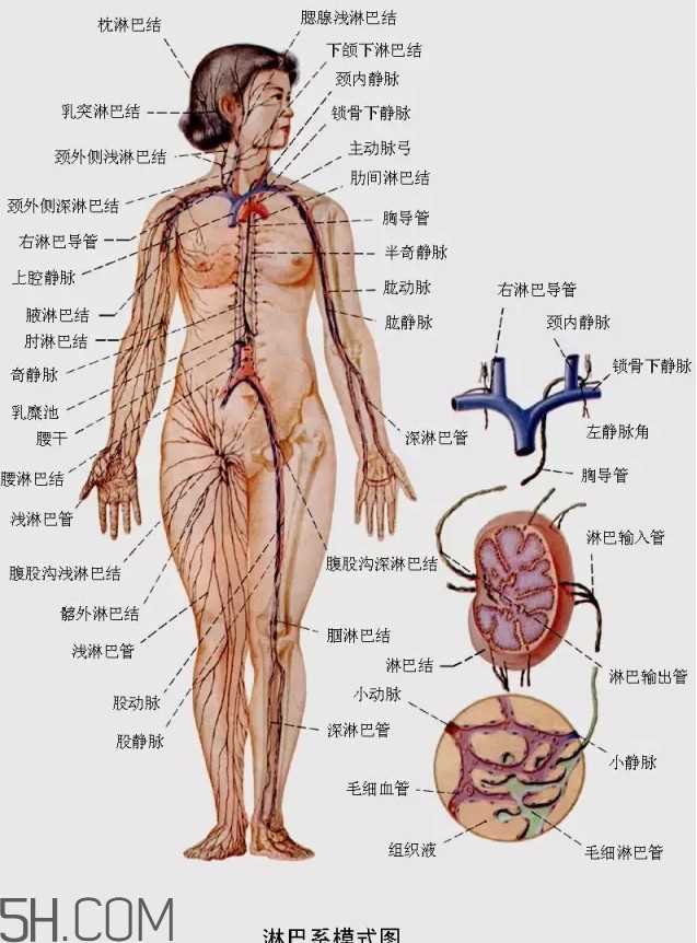 淋巴癌最严重时会成什么样子