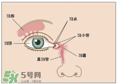 洗眼液洗出的脏东西是什么 洗眼液洗出白色絮状物是寄生虫吗