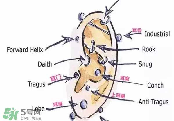 耳洞打什么位置好看？打耳洞痛