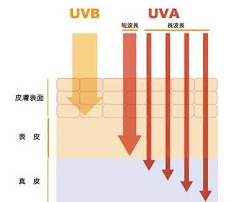 uva和uvb哪个更可怕 uva最可怕能致癌