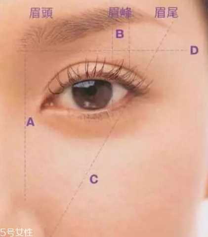 初学者怎么修眉毛 修出完美眉型