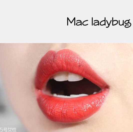 mac cockney和ladybug哪个好 mac cockney试色