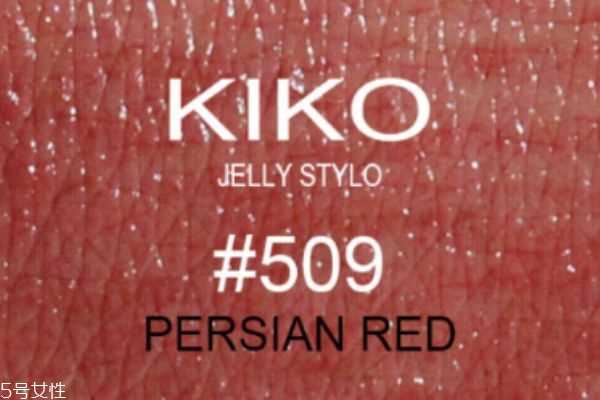 kiko509是什么颜色 kiko509试色