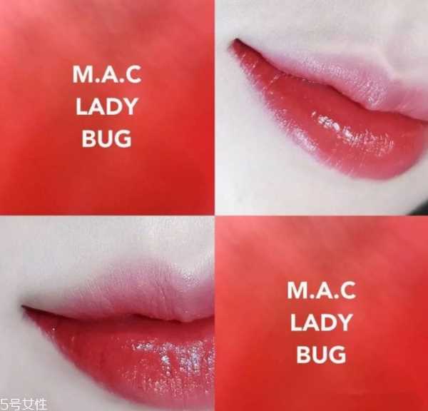 mac ladybug和迪奥999哪个好 mac ladybug试色